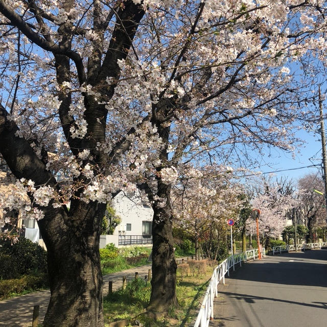 勝負の4月！
