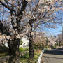 勝負の4月！