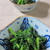 「春菊の胡麻和え」