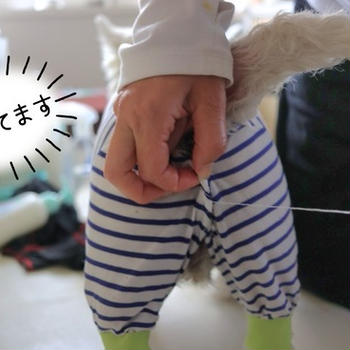 おしりズリズリ対策