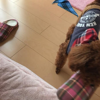 気づいてないフリ