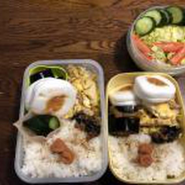 最近のお弁当
