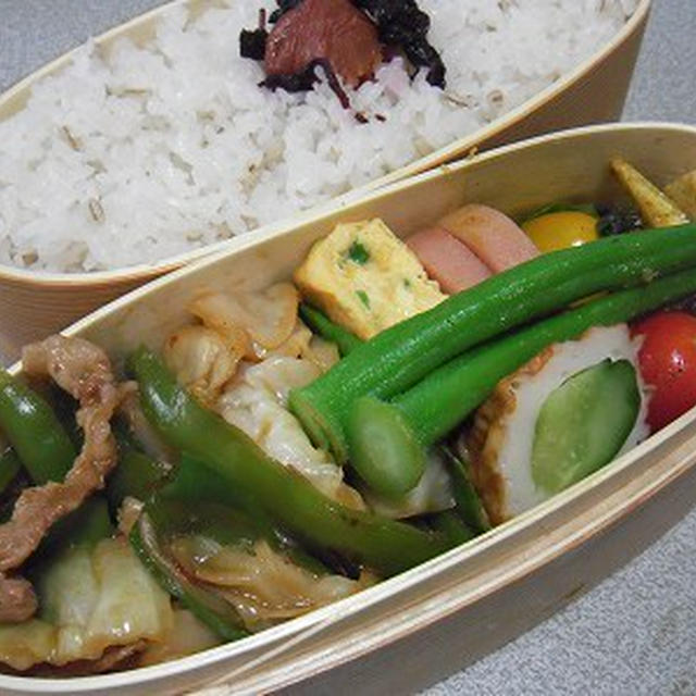 ピーマンたっぷり回鍋肉弁当。テーブルの上で眠るきなこ