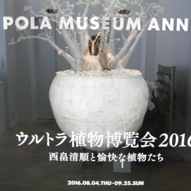 ウルトラ植物博覧会2016