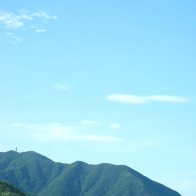 【記録】福島県の園児…減る