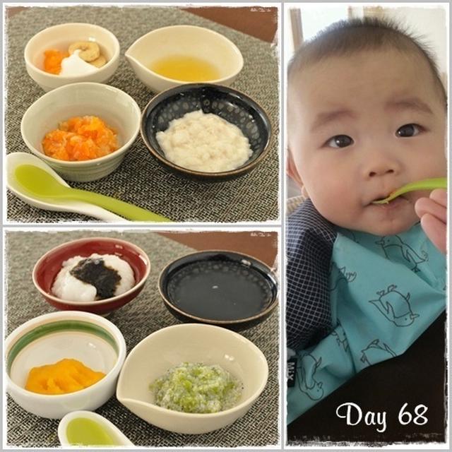 離乳食68日目と69日目～カイにとっての今の適量