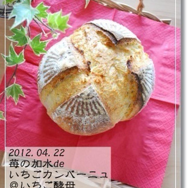 リベンジ失敗…無水の苺カンパ