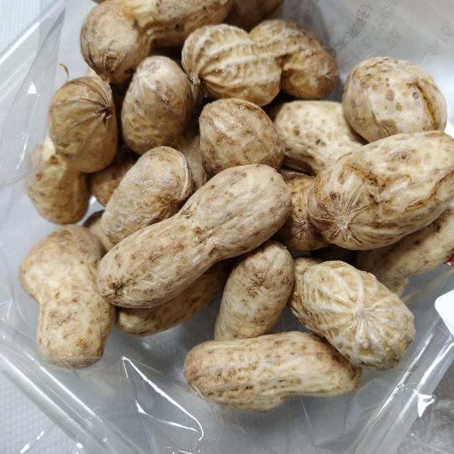 千葉ごはん