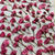桜の花の塩漬け完成しました♪