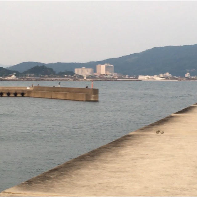 和歌山　田ノ浦漁港　釣り場紹介　魚影濃い タチウオ釣れてます　トイレ、自販機完備