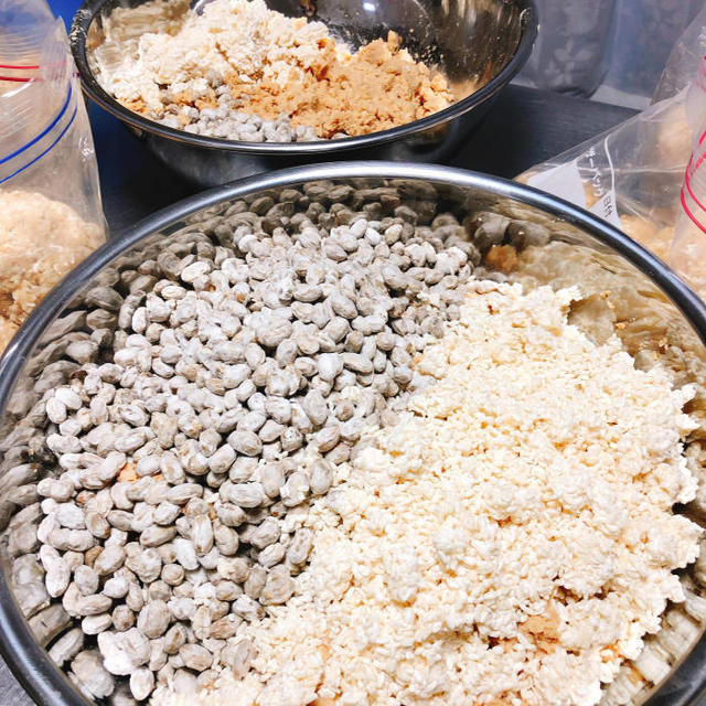 寒仕込み味噌レッスン.2019