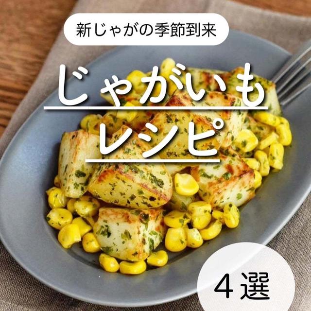 新じゃがの季節到来【じゃがいもレシピ④選】