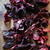 Beet Chips