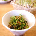 副菜に青菜を！作戦実施中　豆苗の梅和え｜明日は渋谷でオムライス料理教室