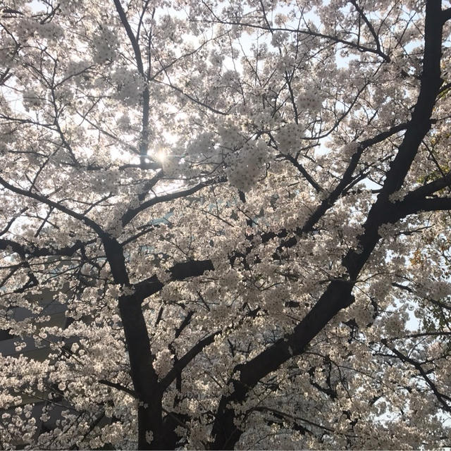 息子の初めての…