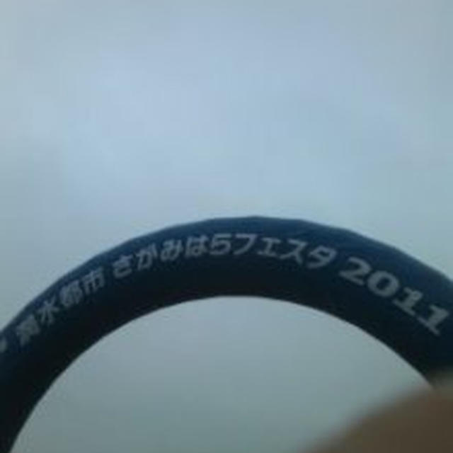潤水都市さがみはらフェスタ2011復興支援さがみはらぁ麺グランプリ
