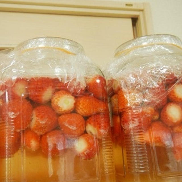 ３月７日のパン教室／いちご酵母