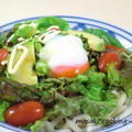 野菜こんもりのサラダうどん　～ゆずオイル使用～