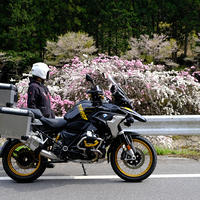 桜と花桃ツーリング！
