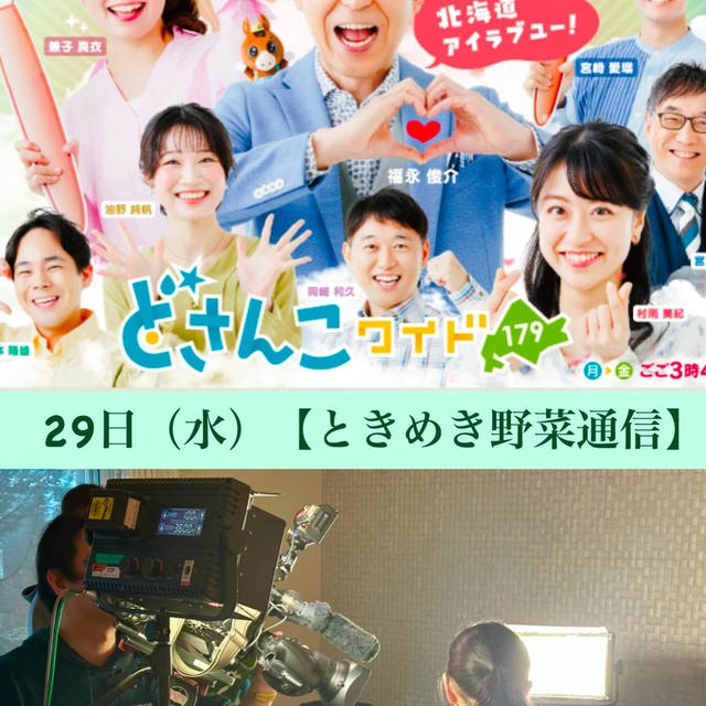 【TV出演】STV どさんこワイド♪