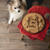 ドッグフードだけで作れる犬のクリスマスケーキレシピ