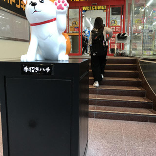 MEGAドン・キホーテ渋谷本店（メガドンキ） ／地下1階は生鮮食品売り場！お弁当もあります！