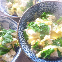 動けない娘が動けた！？塩味のピリッと親子丼★