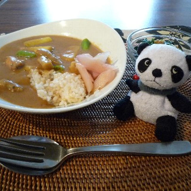 鶏と根菜の豆乳カレー