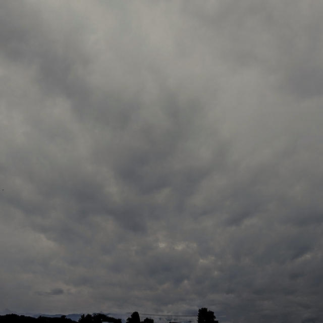 7月に何か起きる？