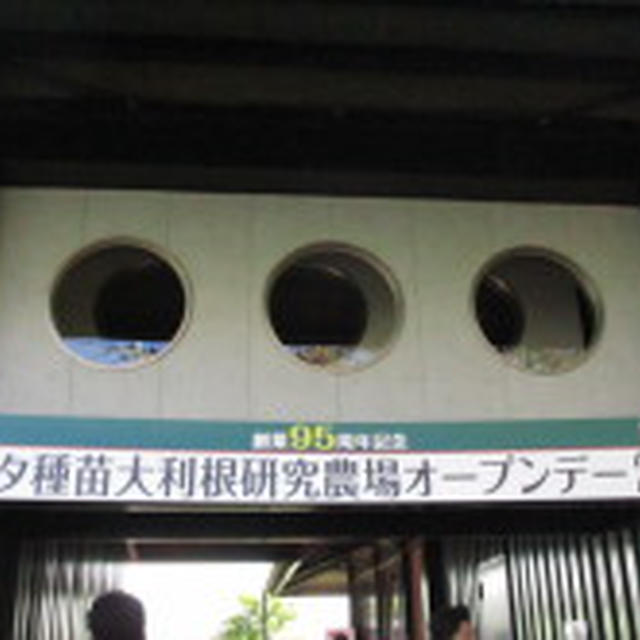 ★トキタ種苗さんのオープンデーに行ってきました。
