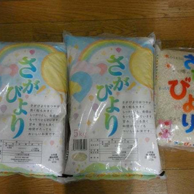 さがびより 12kg　ふるさと納税2023