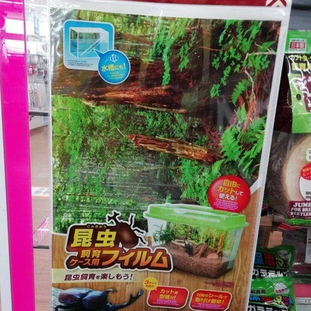 【ダイソー】虫かごを屋久島風に変身！簡単に出来る100均グッズがあった～