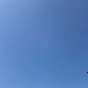 2025.06.17 空