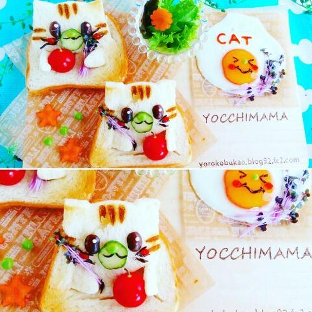 ネコパンと大阪とすち子♪と神奈川県講習のお知らせ。