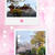 日本橋浜町・水天宮前・桜とバナナの皮は誰が捨てる？！