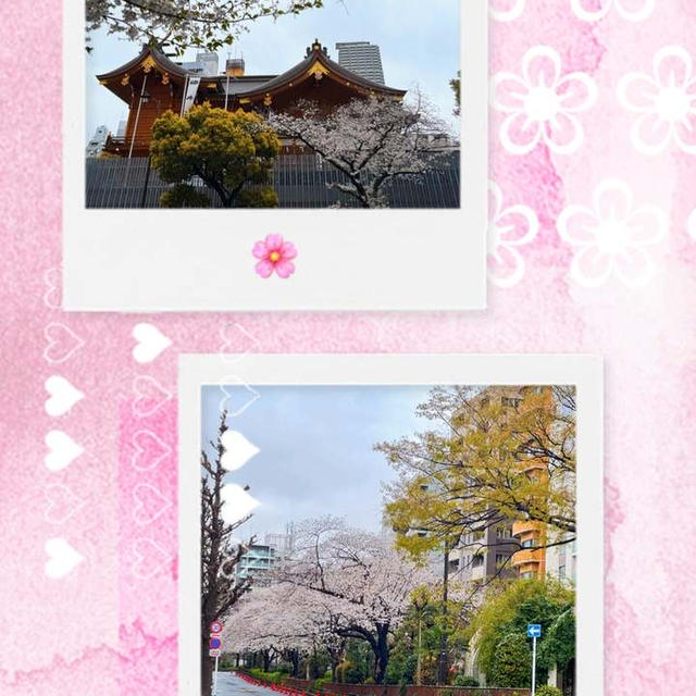 日本橋浜町・水天宮前・桜とバナナの皮は誰が捨てる？！