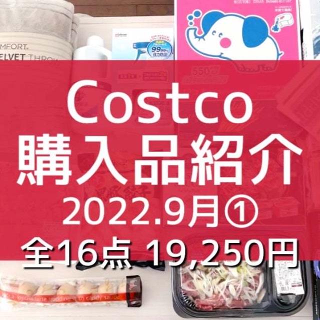 【コストコ】全購入品紹介。と こんな物も買ってみた。