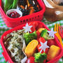 お出かけ弁当