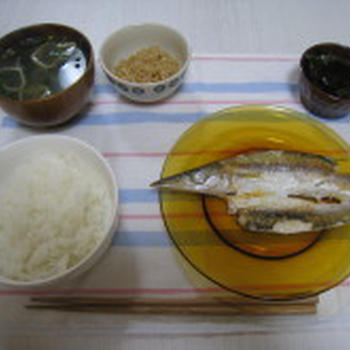 夜ごはんとナイスクックパー
