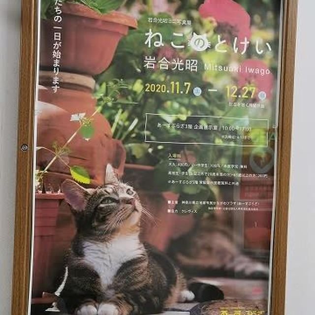 岩合光昭ミニ写真展「ねこのとけい」