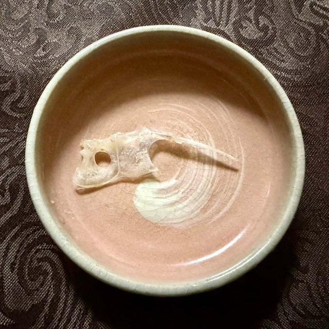 二ヶ月ぶりの鯛のアラ煮です！