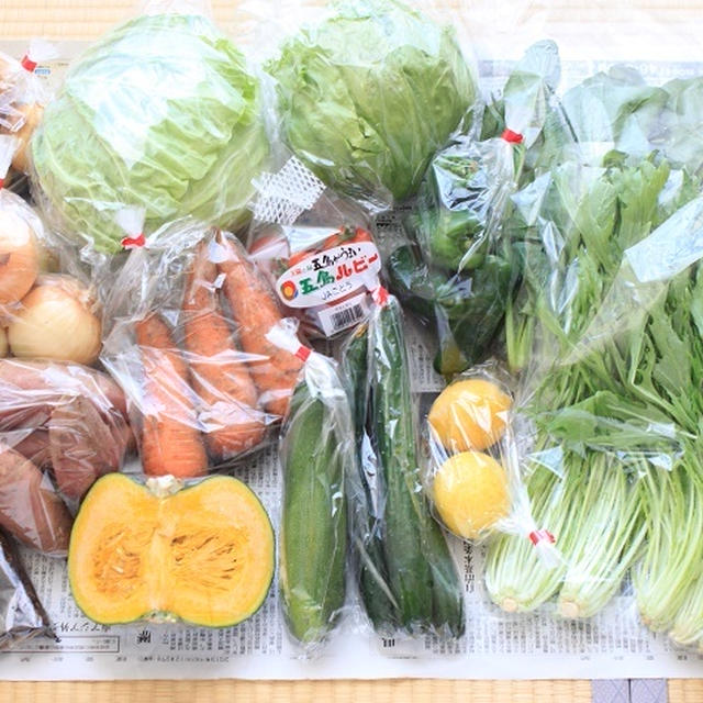 イキイキ果菜館さんの九州・北海道産 農薬を抑えて作られた厳選野菜セット15品♪