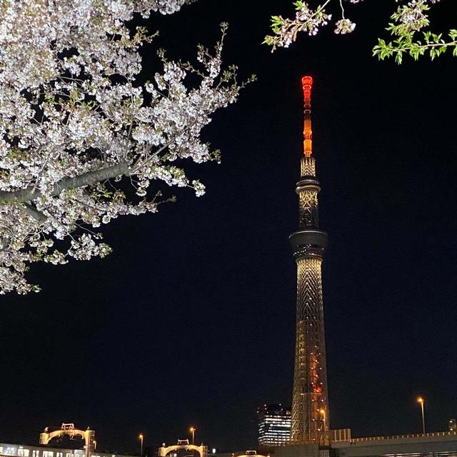 東京旅行記４月③　浅草寺と桜とスカイツリー（おいしいものも）