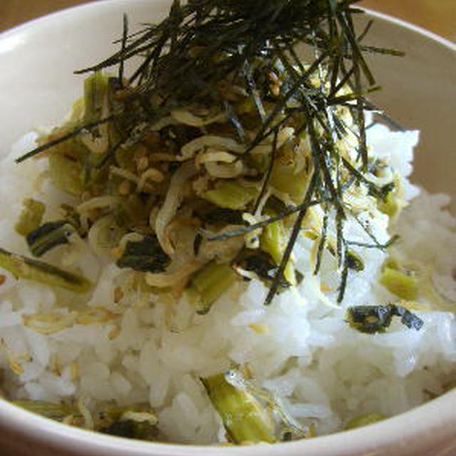 じゃこと野沢菜のふりかけ