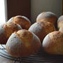 【国産小麦のパン】　岩見沢産キタノカオリ入り・もっちりハードなプチパン（白神こだま酵母使用）