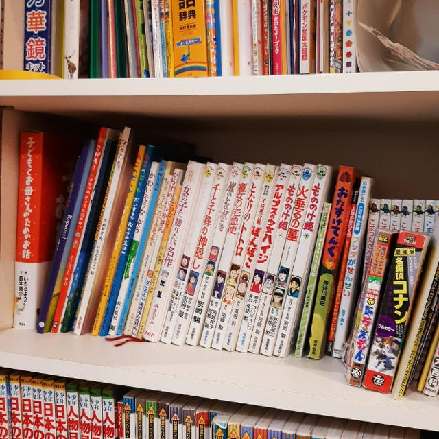 小学生に大人気のサバイバルシリーズ！