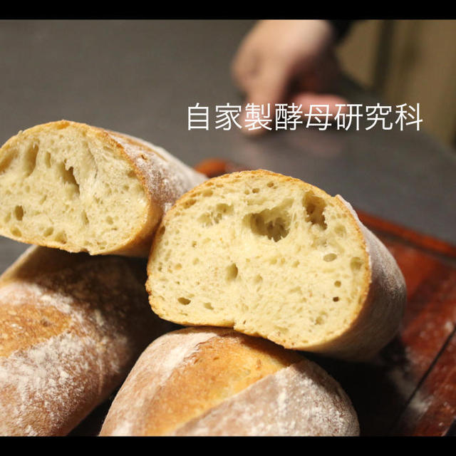 自家製酵母を、失敗しないコツとは、教えるための学び