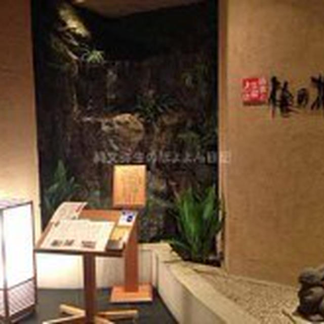 【銀座】梅の花　銀座並木通り店