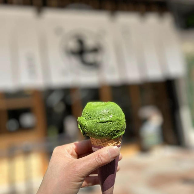 ２０２４年・春の日本旅行(13) 静岡でお茶を楽しむ！