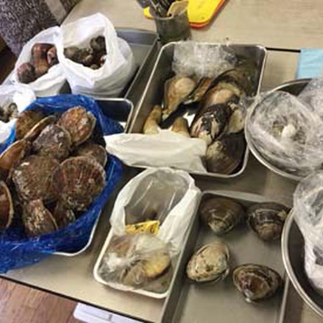 旬の魚料理教室　４月は貝祭り、本当にすごい祭りだった。。。